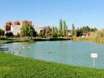 Inmobiliaria en Laguna de Duero